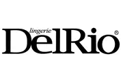 Rovin-Glass-Logo-de-Parceiros-delrio