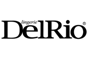 Rovin-Glass-Logo-de-Parceiros-delrio Rovin-Glass-Logo-de-Parceiros-delrio